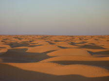 Wüstenabend